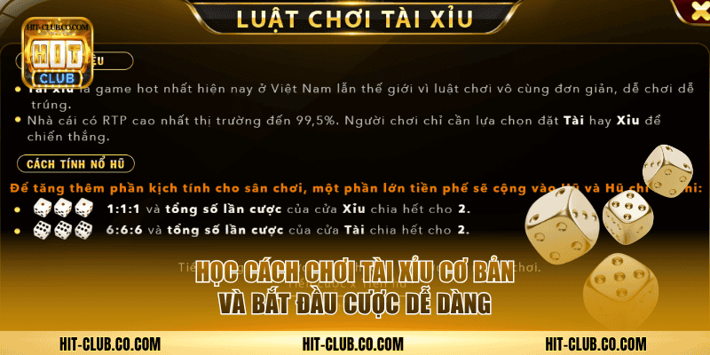 Học cách chơi tài xỉu cơ bản và bắt đầu cược dễ dàng